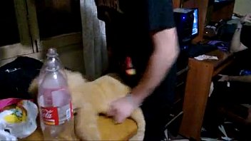 Horny scene boy fucks anal a hot blonde Teddy Bear